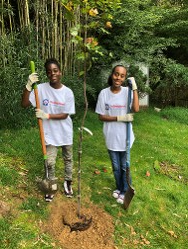 two girls planting trees